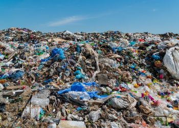 TEMA Vakfı’ndan yerel seçimler öncesi çağrı:   Doğal afetlere dirençli kentler istiyoruz!