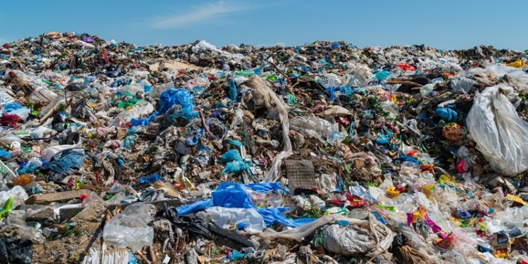 TEMA Vakfı’ndan yerel seçimler öncesi çağrı: Doğal afetlere dirençli kentler istiyoruz!