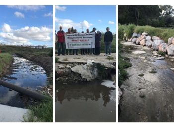 Çeşme Ekoloji Platformu: Doğa katliamına dur de!