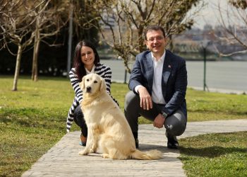 Dünya Sokak Hayvanları Günü’nde SemtPati Vakfı’ndan İş Dünyasına Çağrı: Sahipsiz köpekler için birlikte harekete geçelim