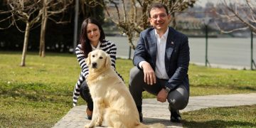 Dünya Sokak Hayvanları Günü’nde SemtPati Vakfı’ndan İş Dünyasına Çağrı: Sahipsiz köpekler için birlikte harekete geçelim