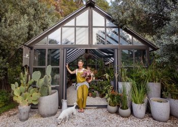 Fem Güçlütürk’ten bitkileri seven ve sevmek isteyen herkes için bir baş ucu kitabı