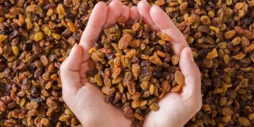 Türkiye’nin sultani çekirdeksiz kuru üzümünün ihraç fiyatı dolar bazında yüzde 29 arttı