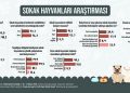 Araştırma: Türk halkının yüzde 40,5’i saldırgan köpeklerin barınaklara toplatılması gerektiğini düşünüyor
