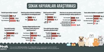 Araştırma: Türk halkının yüzde 40,5’i saldırgan köpeklerin barınaklara toplatılması gerektiğini düşünüyor