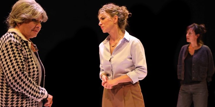 Şehir Tiyatroları “Sivrisinekler” oyunuyla Frankfurt Türk Tiyatro festivali’nde