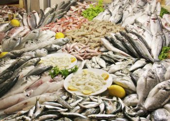 Türk su ürünleri ihracatı 5 yılda yüzde 65 artarak 1,7 milyar dolara yükseldi