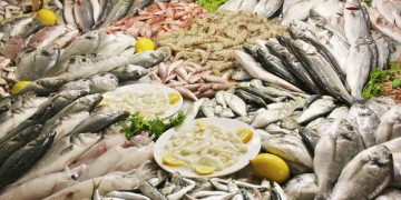 Türk su ürünleri ihracatı 5 yılda yüzde 65 artarak 1,7 milyar dolara yükseldi