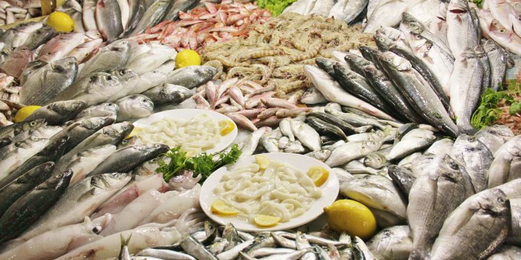 Türk su ürünleri ihracatı 5 yılda yüzde 65 artarak 1,7 milyar dolara yükseldi