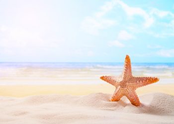 Yaz Mevsimi için Vazgeçilmez Günlük Bakım Rutini