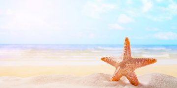 Yaz Mevsimi için Vazgeçilmez Günlük Bakım Rutini