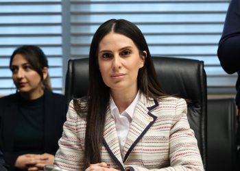 Muğla Milletvekili Gizem Özcan;  “MUÇEV Limited Şirketi hangi yetkiyle Göcek’teki tekneleri sahilden uzaklaştırmaktadır?”