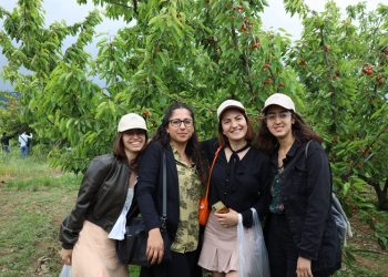 Kiraz hasat şenliğine gençler enerji kattı