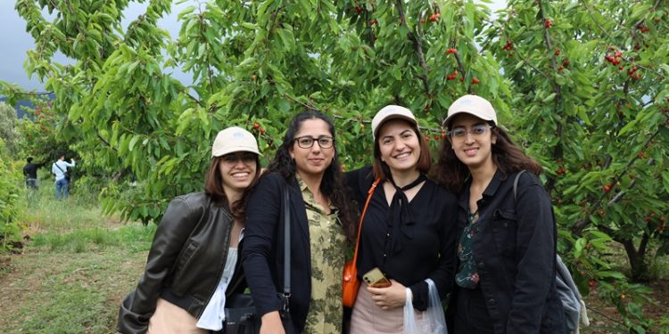 Kiraz hasat şenliğine gençler enerji kattı