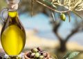 Türkiye’de zeytinyağı sektörünün kaderini tayin eden 20 kurumun ortak bildirisi; “Zeytinyağında dökme ve varilli ihracat yasağı hemen kaldırılmalıdır”