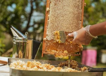 Ege İhracatçı Birlikleri’nden Nisan ayında 1 milyar 360 milyon dolarlık ihracat