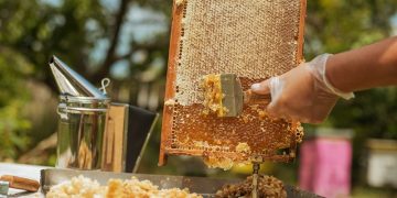 Ege İhracatçı Birlikleri’nden Nisan ayında 1 milyar 360 milyon dolarlık ihracat