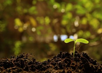 Maya Vakfı, doğa ve sanat temelli terapiyi birleştirerek iyileştirme sürecini çok yönlü destekliyor