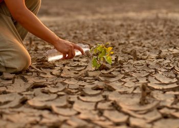 Dünya Çevre Günü’nde TEMA Vakfı’ndan Anlamlı Mesaj:     “Bizim toprağımız, bizim geleceğimiz. Biz doğayı onaracak nesiliz!”