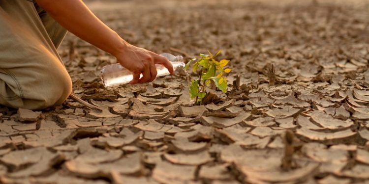 Dünya Çevre Günü’nde TEMA Vakfı’ndan Anlamlı Mesaj: “Bizim toprağımız, bizim geleceğimiz. Biz doğayı onaracak nesiliz!”