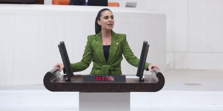 CHP Milletvekili Gizem Özcan;  “Güvencesiz çalışma biçimi olan sözleşmeli öğretmen istihdamına ivedilikle son verilmelidir”