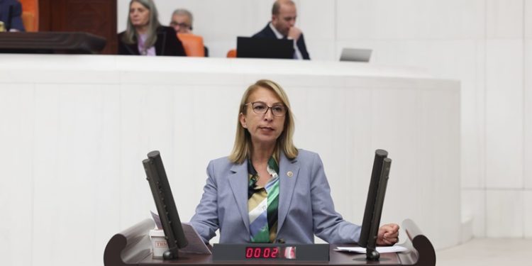 CHP’li Süreyya Öneş Derici TBMM’ye verdiği önerge ile İçişleri Bakanı Ali Yerlikaya’ya Muğla’daki sığınmacı sayısını sordu