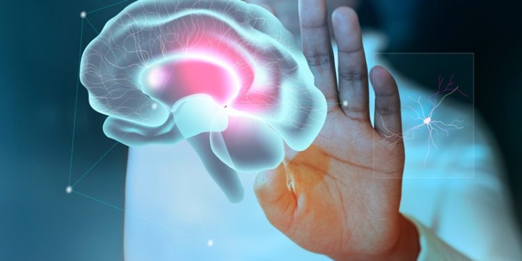 Sağlıklı bir toplum sağlıklı bir beyinden geçer