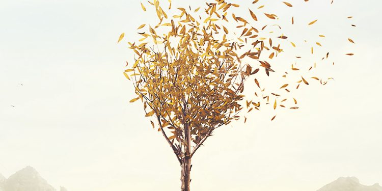 Susanna Tamaro’dan derin ve tutkulu bir yeni roman: Yel Dilediği Yerde Eser!