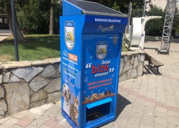 Sokaktaki sahipsiz hayvanlarının beslenmesine siz de katkı sağlayabilirsiniz