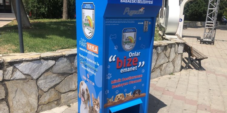 Sokaktaki sahipsiz hayvanlarının beslenmesine siz de katkı sağlayabilirsiniz