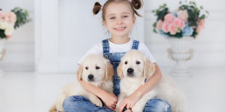 Kedi ve köpeklerde astımdan korunma yolları