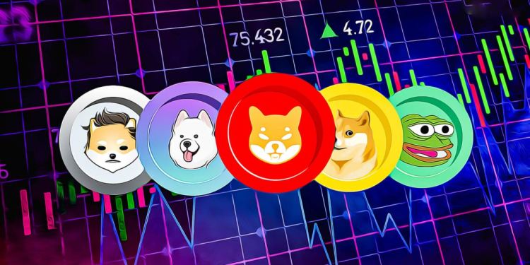 Meme Coin Nedir? Meme Coin Almalı mı?