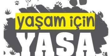 Hayvan hakkı savunucuları: Yasayı sokakta biz yazacağız!