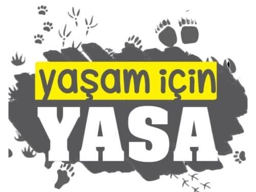 Hayvan hakkı savunucuları: Yasayı sokakta biz yazacağız!