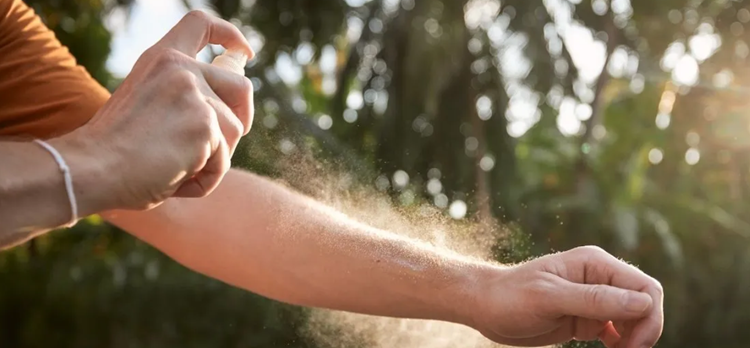 Sineklerden korkmadan yazın keyfini çıkarmanın doğal yolu