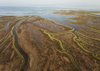 Sulak alanların korunması ve kuraklığa karşı çözümler üretmek için çalışmalar devam ediyor
