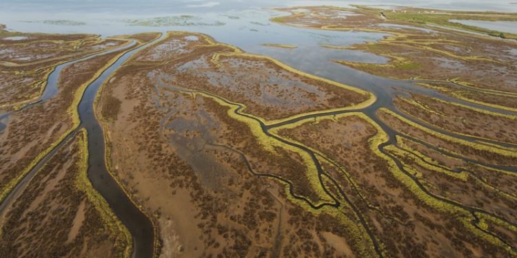 Sulak alanların korunması ve kuraklığa karşı çözümler üretmek için çalışmalar devam ediyor