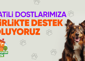 Hepsiburada, Dünya Köpek Günü’nde Patili Dostlara Destek sayfasını açıyor