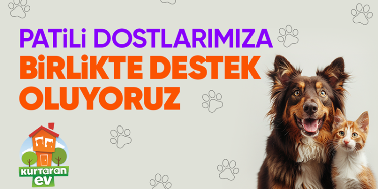Hepsiburada, Dünya Köpek Günü’nde Patili Dostlara Destek sayfasını açıyor