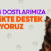 Hepsiburada, Dünya Köpek Günü’nde Patili Dostlara Destek sayfasını açıyor