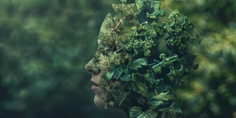 Eko-Anksiyete ve afet kaynaklı psikolojik sorunlarla nasıl başa çıkılır?