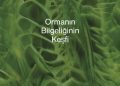 Ağaçların gizli dilini ilk keşfeden ekolojist Suzanne Simard, bu sırları Anne Ağaç: Ormanın Bilgeliğinin Keşfi kitabında paylaşıyor