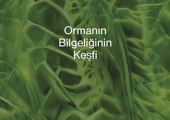 Ağaçların gizli dilini ilk keşfeden ekolojist Suzanne Simard, bu sırları Anne Ağaç: Ormanın Bilgeliğinin Keşfi kitabında paylaşıyor