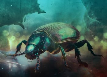 KOBİ’lere fidye tuzağı