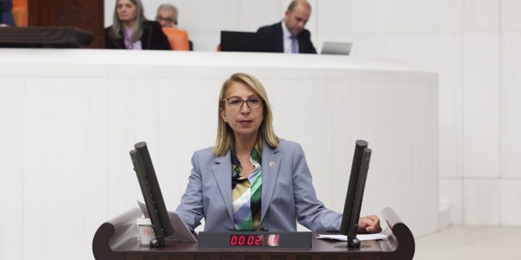 CHP Muğla Milletvekili Süreyya Öneş Derici: “TBMM Bodrum’daki Orman Arazilerinin İmara Açılması Konusunu Araştırsın!”