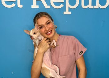 Kedi veya Köpeğiniz antifriz yediyse ne yapmalı?