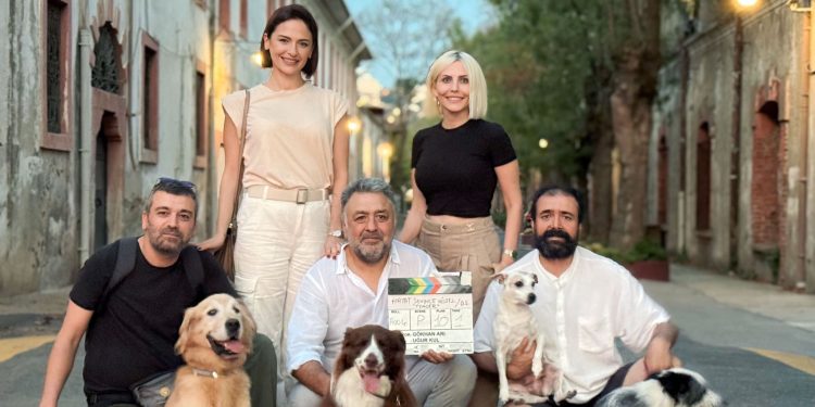 Dijital sanatlar 4 filmle geri dönüyor