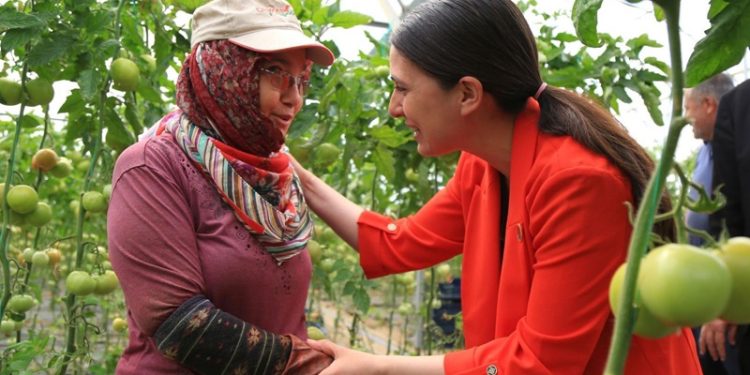 Milletvekili Gizem Özcan, Bakan Yumaklı’ya sordu; “776 bin hektar ekilemeyen tarım arazisinin ne kadarı Muğla ili sınırları içerisinde yer almaktadır?”