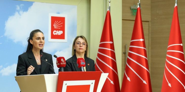 Muğla Milletvekili Gizem Özcan; “Laik ve bilimsel eğitimden giderek uzaklaştık”