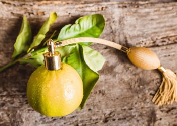 Kolonya Hediye Etmenin Zarafeti: Özel Günler için Aromatik Seçimler